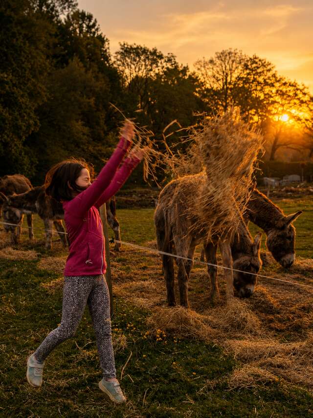 La nuit des animaux