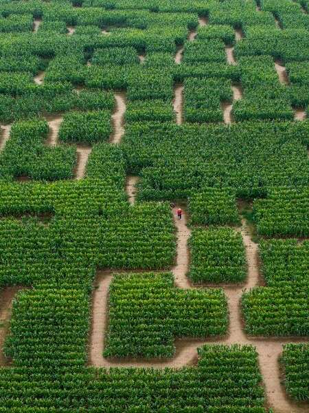 Pop Corn Labyrinthe Sarzeau