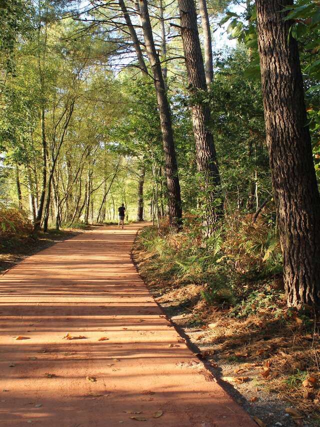 Lac et landiers de Trémelin n°117