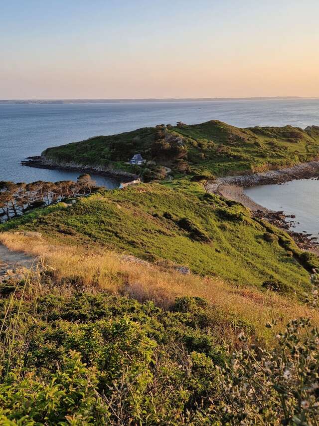 Tresmeur - Bihit