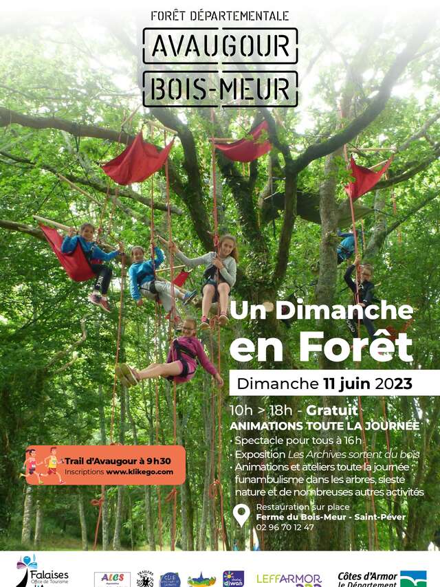 Un dimanche en forêt