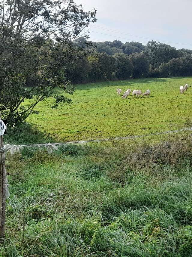 Trail au fil des vallées - parcours 1