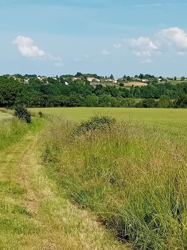 Trail au fil des vallées - parcours 8