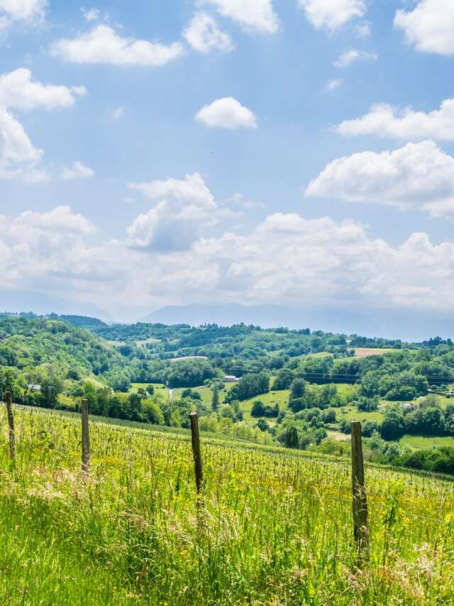 Saint-Faust - Coteaux de Las Hies