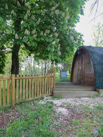 Cabane du hobbit - Domaine de la Couture