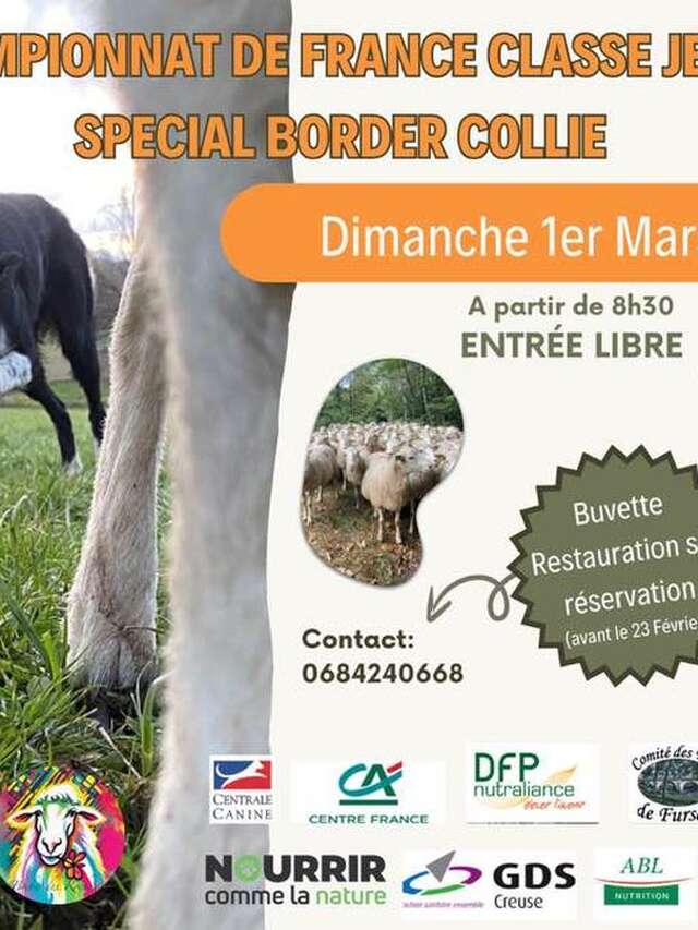 Championnat de France Spécial Border Collie