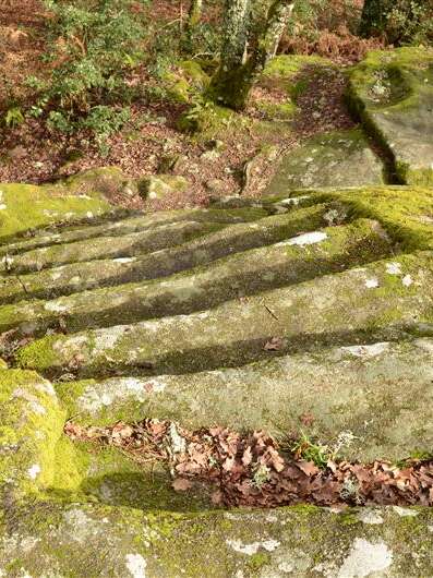 La Pierre aux Neuf Gradins
