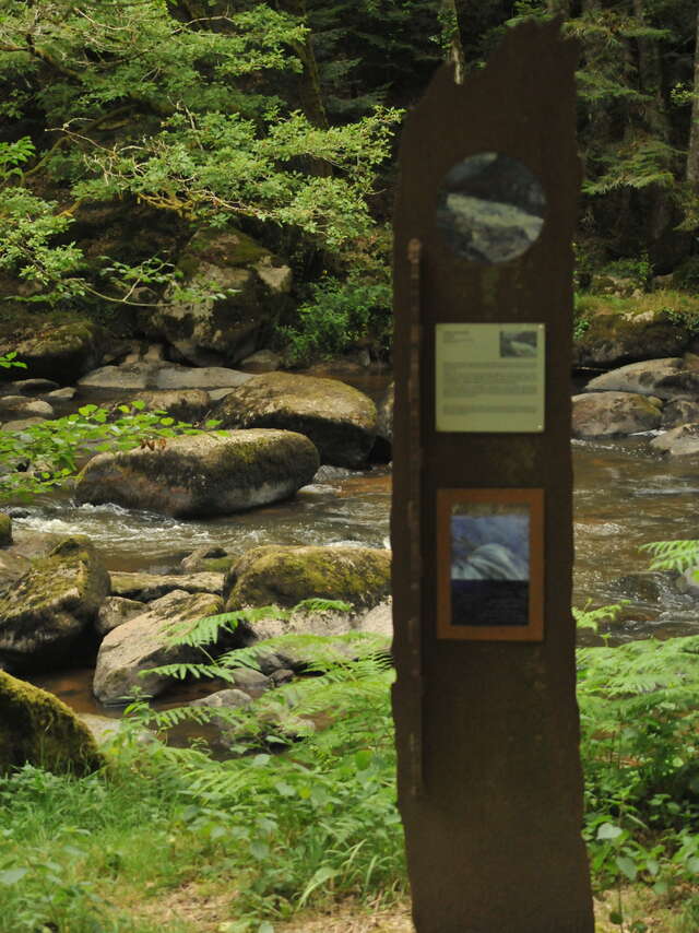 Balade commentée sur le sentier des peintres