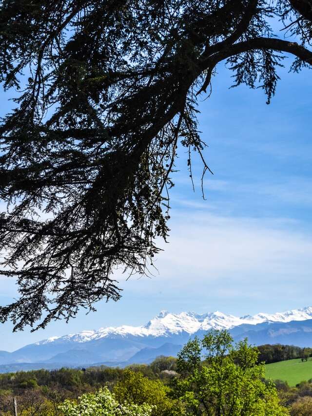 Mazères-Lezons - Des Coteaux à la Saligue