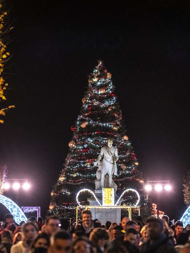Noël à Pau - Marché de Noël- Sud de la place Royale