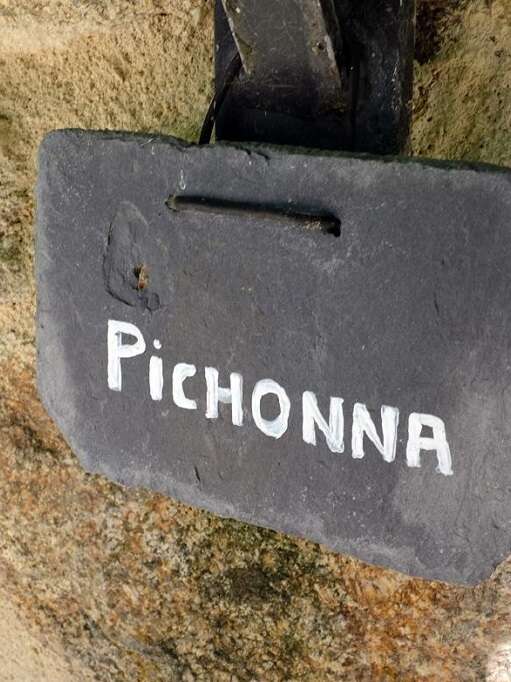 Domaine de Louveraude : La Pichonna