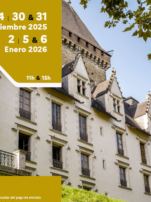 Visita del castillo en castellano