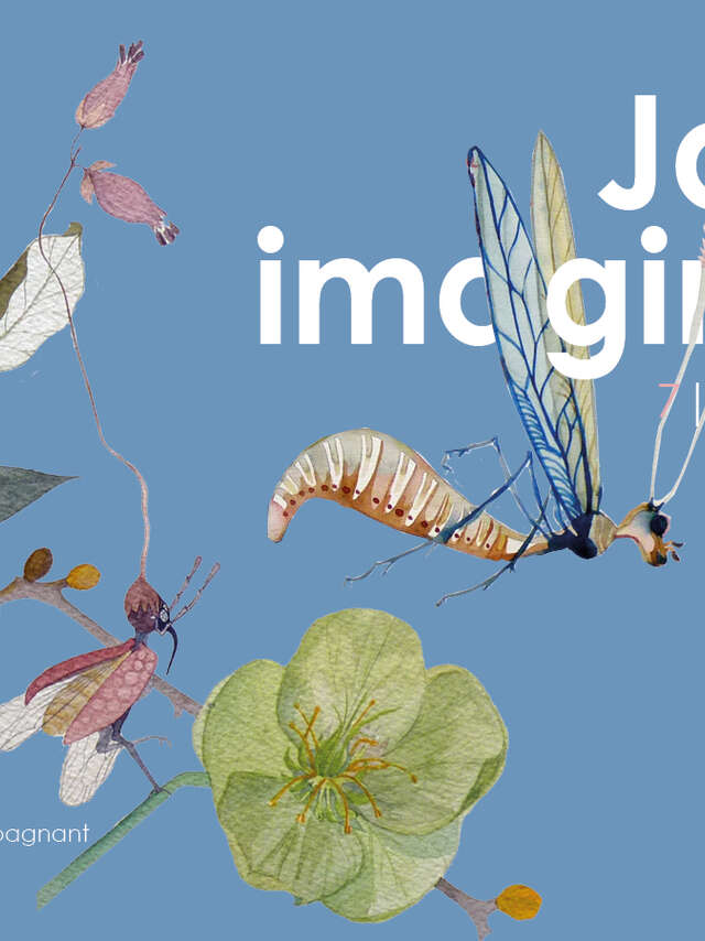 Le jardin imaginaire