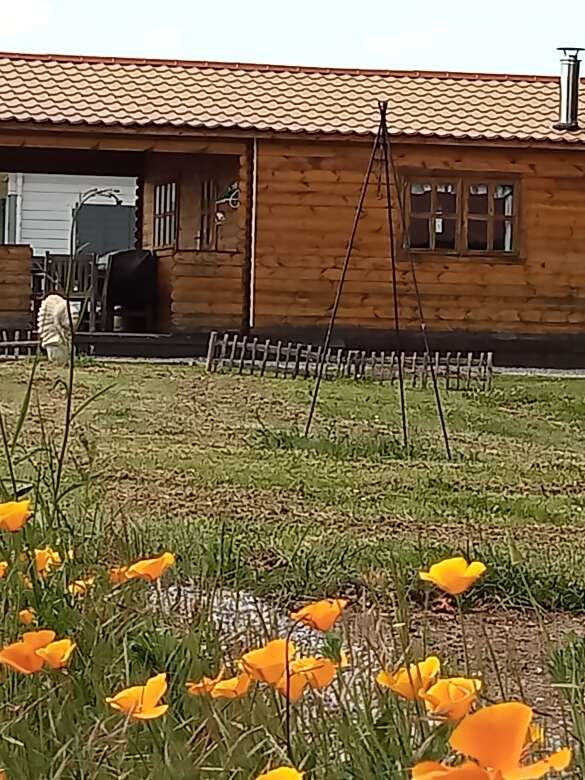 Chalet Florida (Camping La Perle)