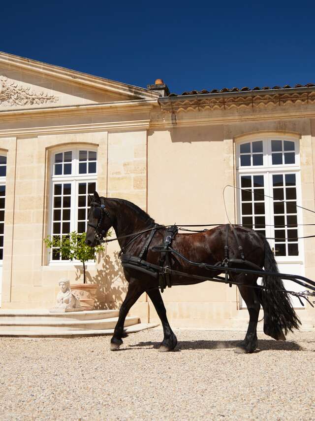 Château Desmirail