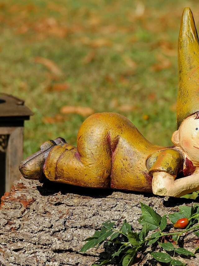 Trail des petits lutins