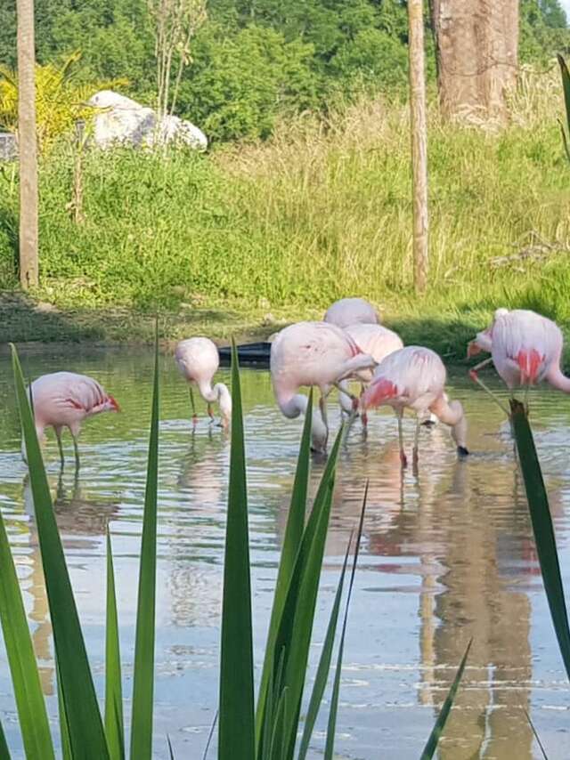 Exotic Park