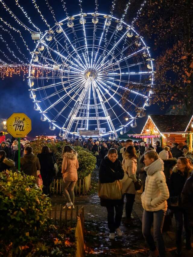 Noël à Pau - La Grande Roue