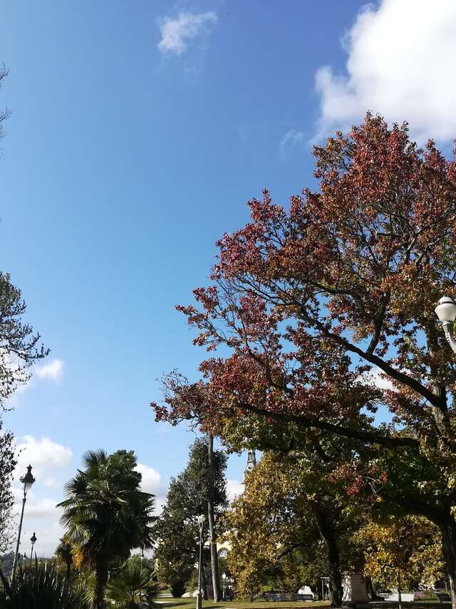 Balade à roulettes N°24 - Promenade au parc Beaumont à Pau