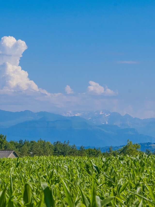 Poey-de-Lescar - La Vallée de l'Ousse