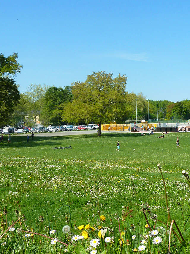 City Stade