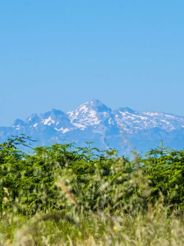 Bougarber - Les crêtes du Château