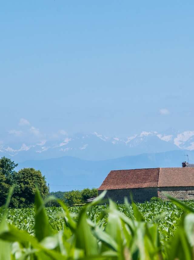 Uzein - Boucle de la Hialère
