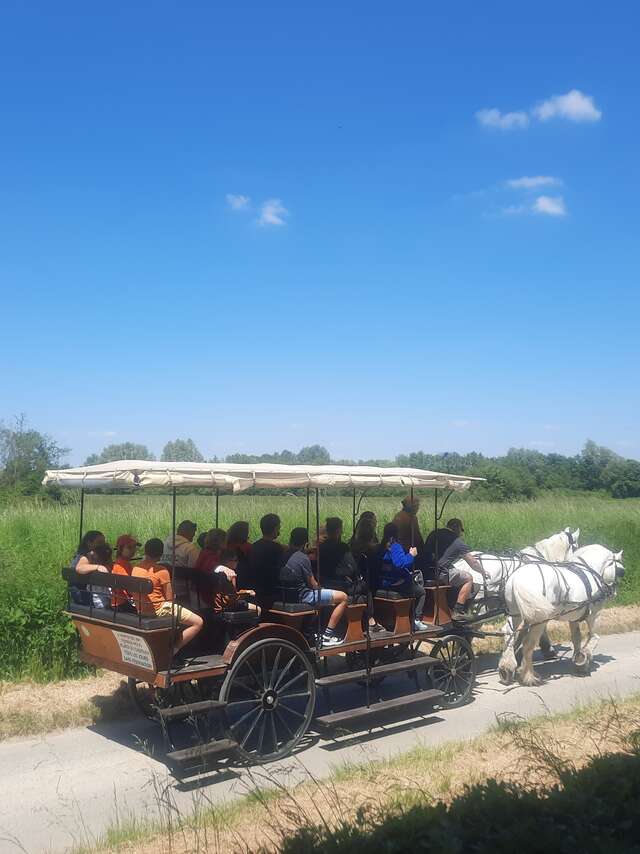 Fête au coeur des prairies du Fouzon à Couffy