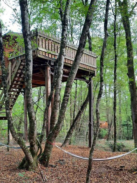 Cabanes dans les arbres - L'Augis Nature