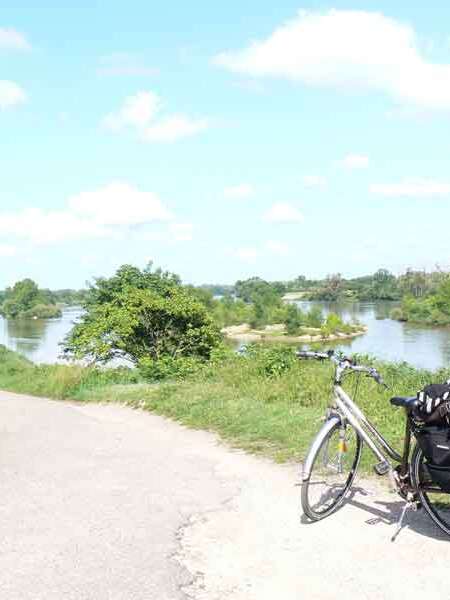 Rendez-vous avec l'Observatoire Loire - Balade à vélo au fil de la levée