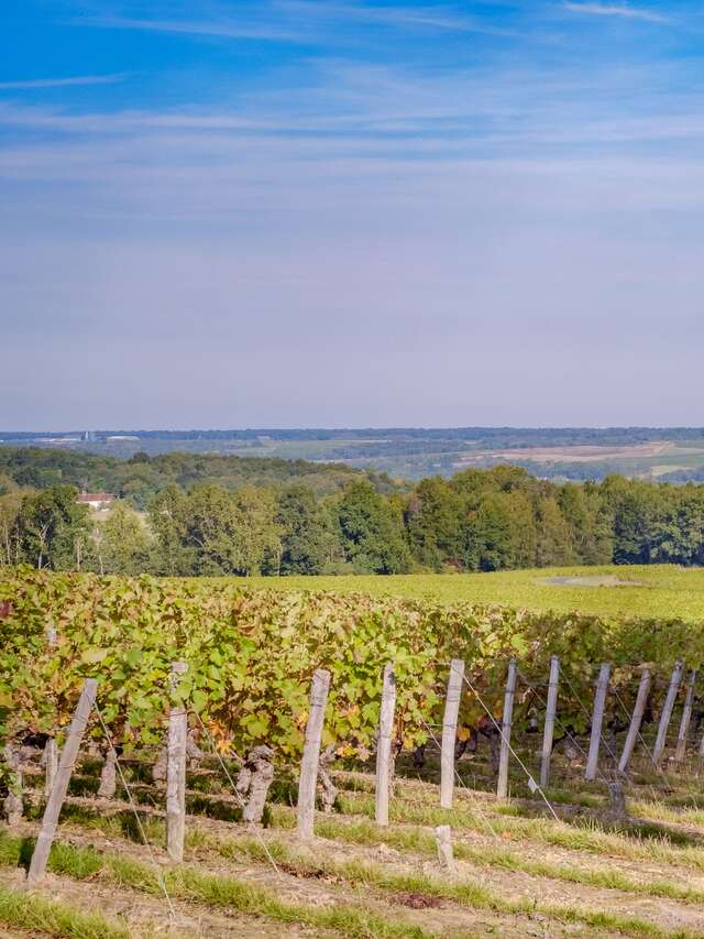 Domaine Joël Delaunay