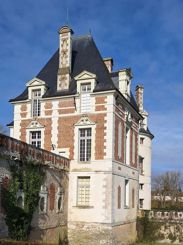 Château de selles-sur-cher