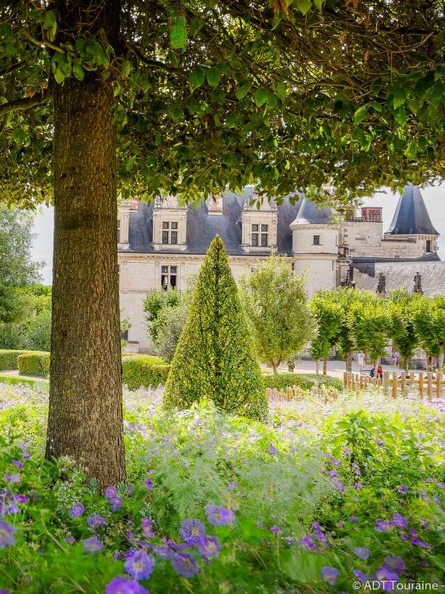 Rendez-vous aux jardins au Château Royal d'Amboise
