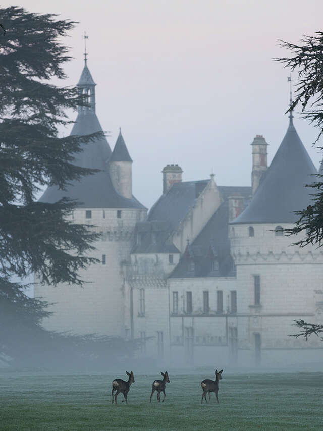 Noël au château de Chaumont-sur-Loire - Chasse au trésor