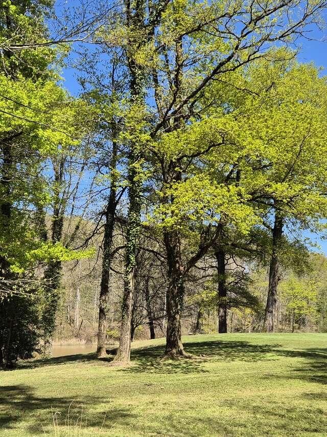 Domaine des aulnaies - touraine cottage