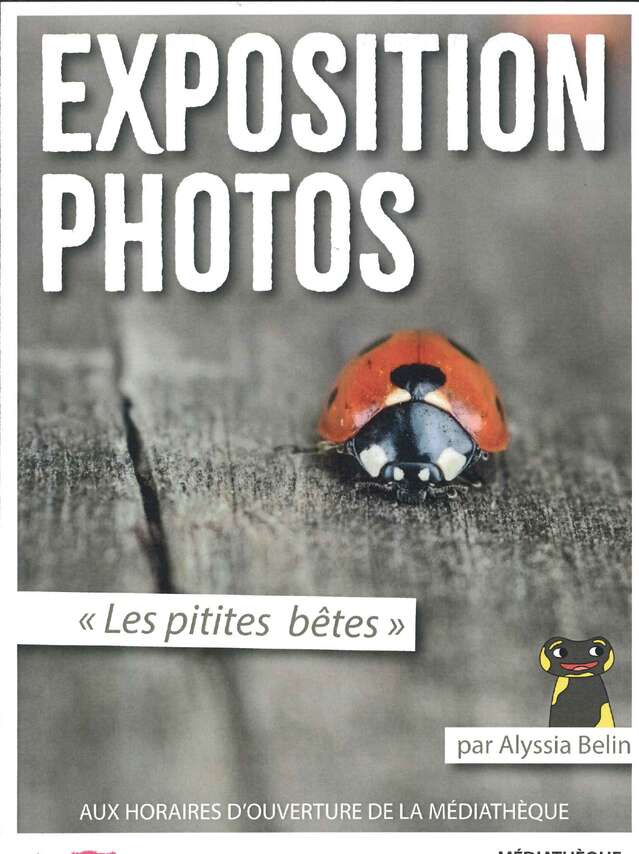 Exposition photos "Les pitites bêtes"