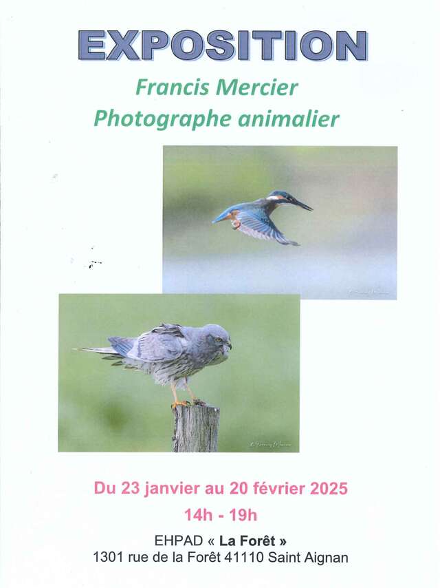 Exposition Francis Mercier