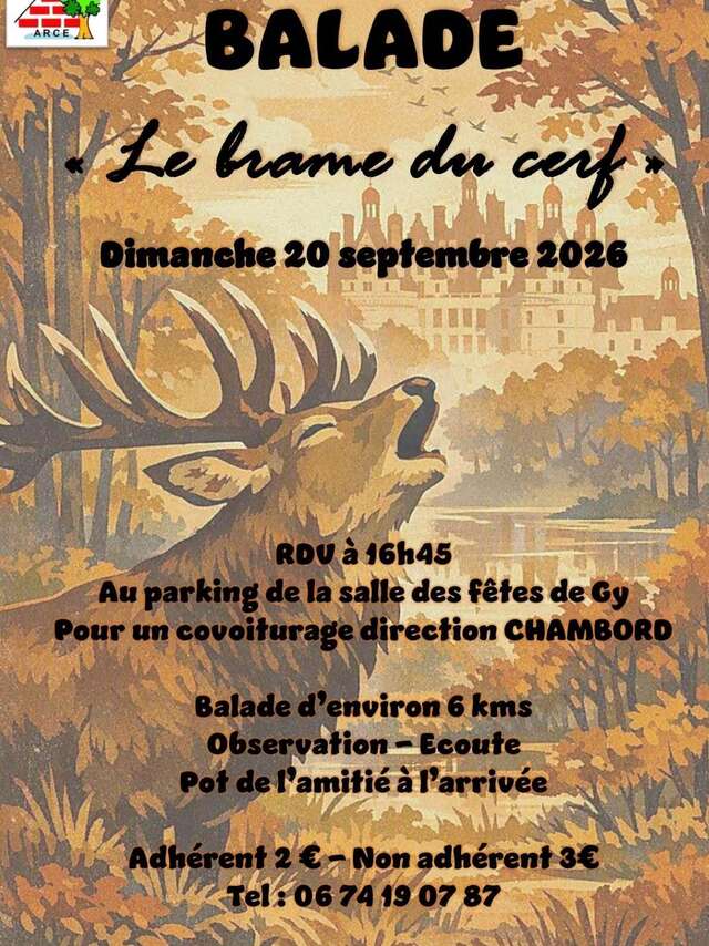 Balade Le brame du cerf