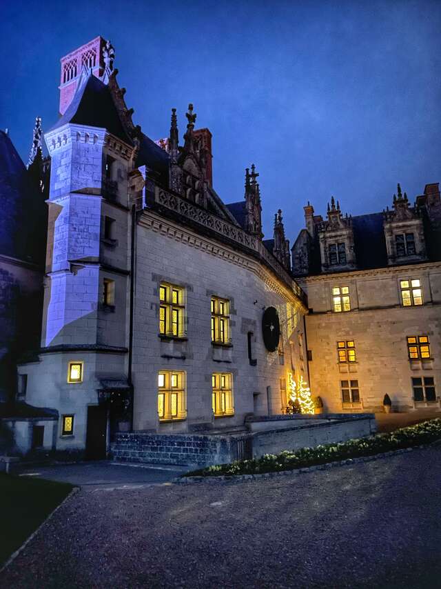 Nocturne au Château royal d'Amboise jusqu'à 20h