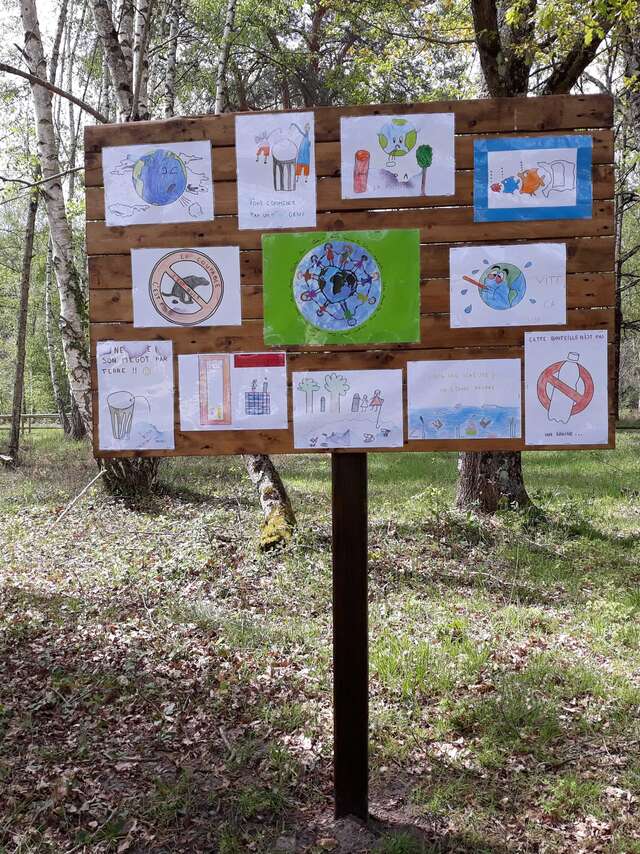 Découvertes Sologne Nature - "Dessine-moi la nature" à Pruniers-en-Sologne