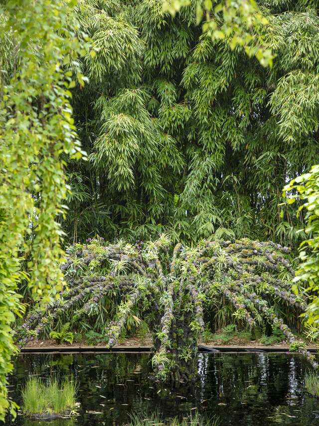 Festival International des Jardins