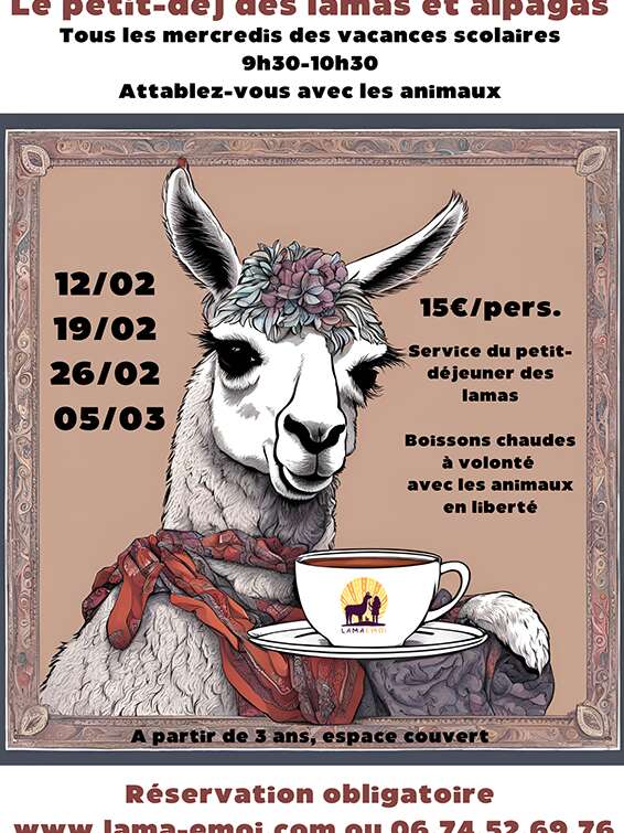 Le petit-déj des lamas et alpagas