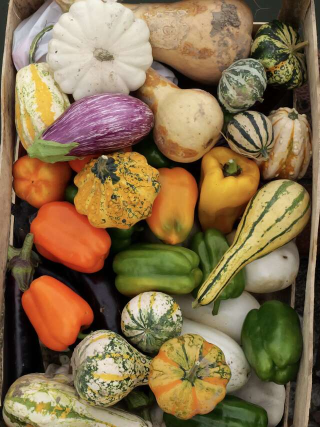 Les Journées du Potager