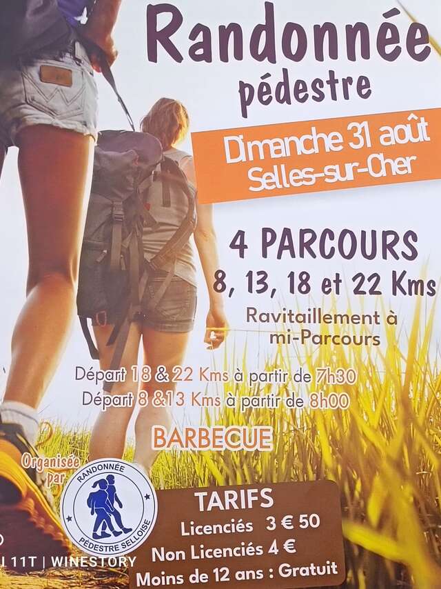 Randonnée pédestre à Selles-sur-Cher