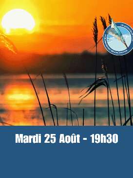 Estivales - Mardis soir au bord de l'eau - Châtres-sur-Cher