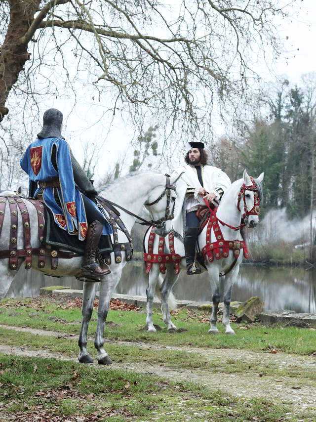 Spectacle équestre de Chambord