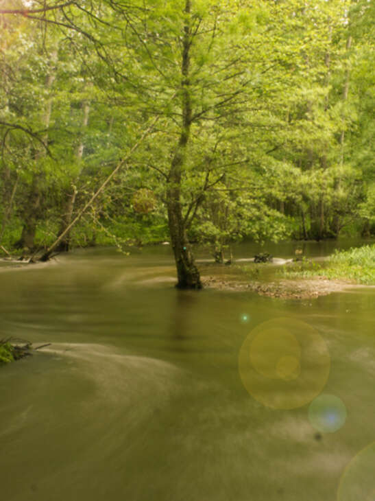 Les Estivales de l'eau - Un mardi soir au bord de l'eau à Seigy