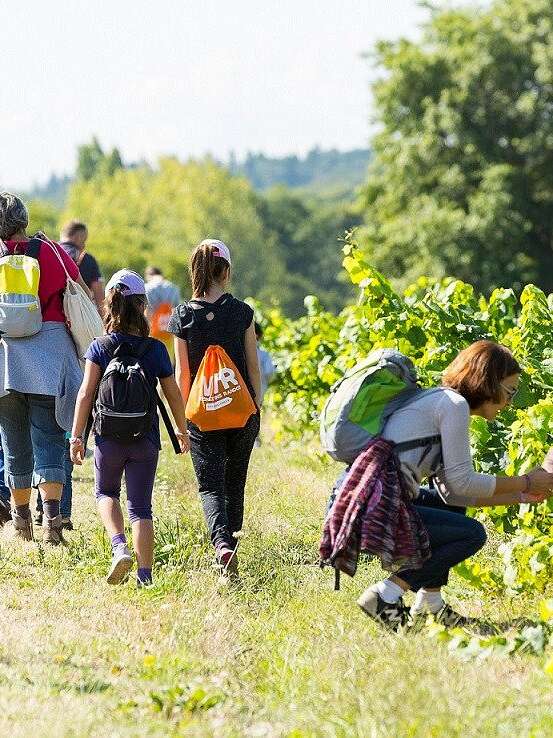 Chasse au trésor à la recherche de la cuvée perdue au Domaine Sauvète