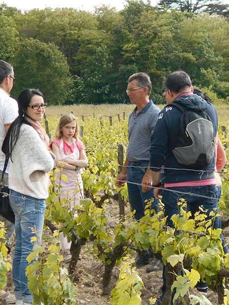 Balade commentée entre Sauvignon et Gamay