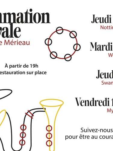 Concert au Domaine Mérieau Mysticodd